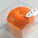 お供えくだもの みかん 大 イミテーション 作り物 お供え 果実 (20250509)