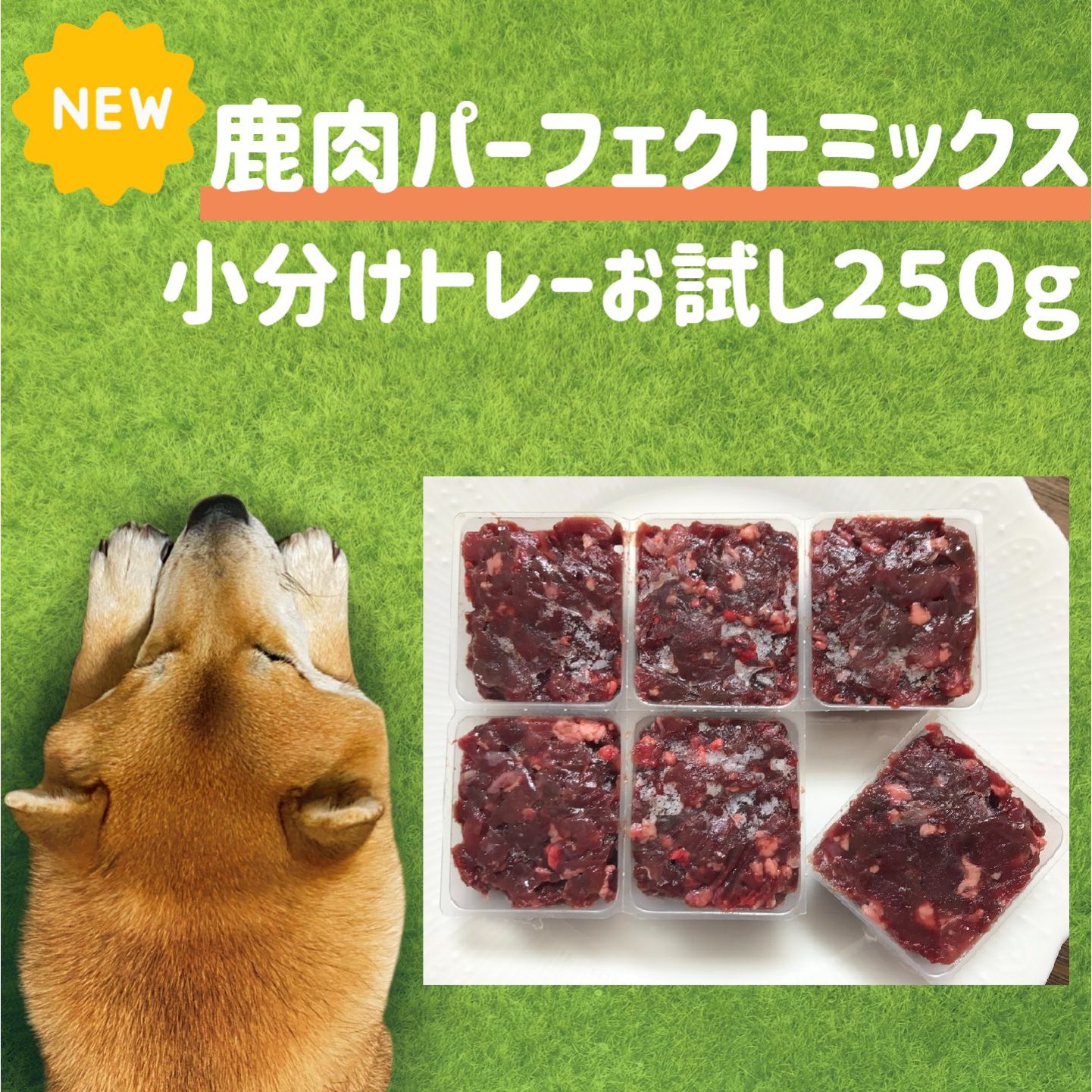 SALE/37%OFF】 ミーちゃん様 2袋 - その他 - hlt.no SALE/37%OFF】 ミーちゃん様 2袋 - その他 - hlt.no
