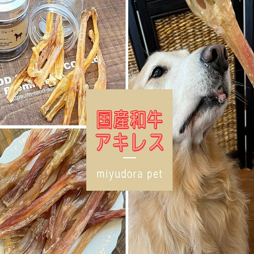 国産 牛アキレス 500g 犬 無添加 おやつ アキレスステック アキレス腱 ガム 長持ち 歯磨きガム 低アレルゲン フード ドッグフード ドライ 無着色 ご褒美 お留守番 ジャーキー 尿 結石 おやつ オヤツ 送料無料