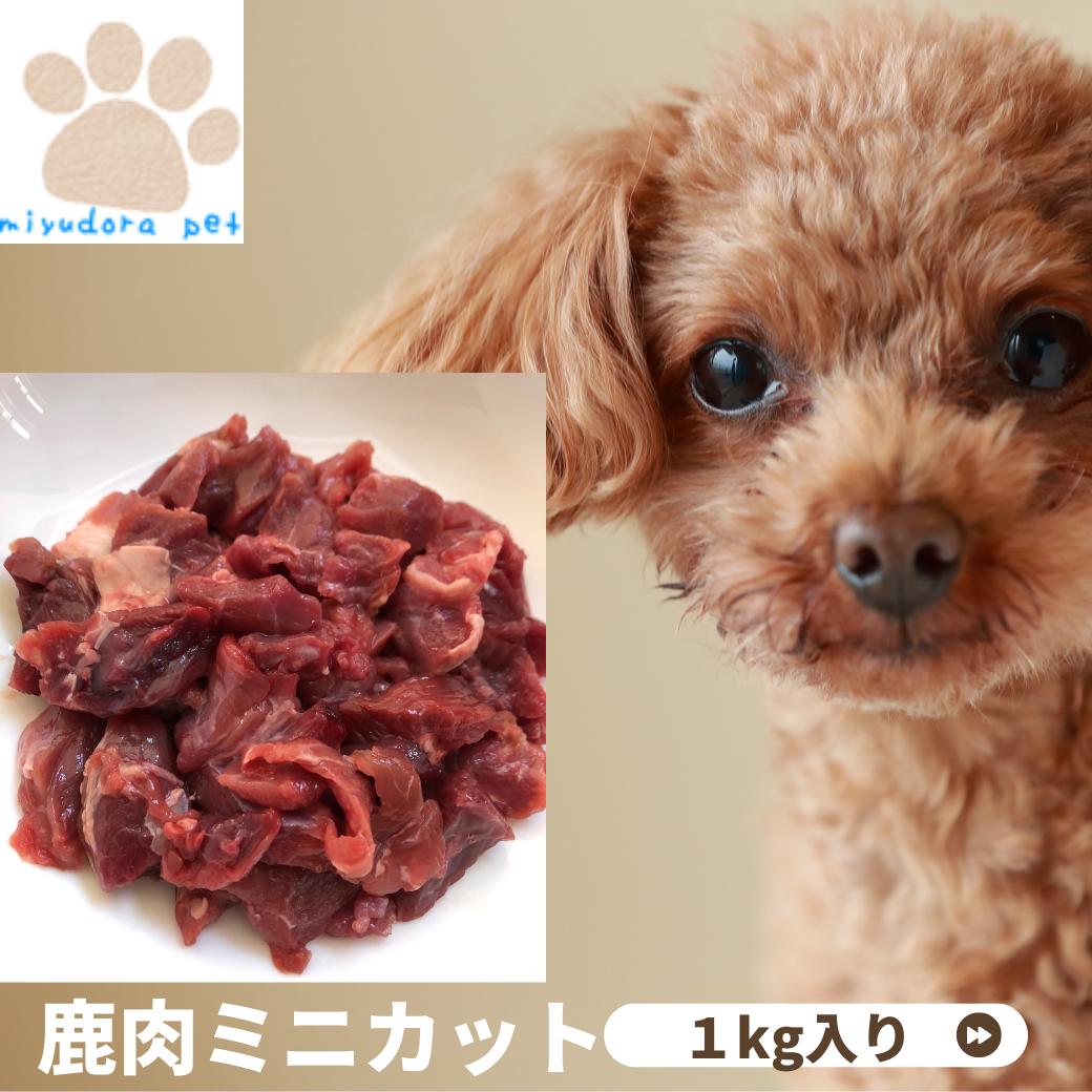 【マラソン クーポン配布中】鹿肉 犬用 生肉 【鹿肉 ミニカット 1kg】 国産 無添加 ドッグフード ペットフード 冷凍 ご飯 ごはん アレルギー 低カロリー ダイエット ベニソン ヒューマングレード ジビエ ナチュラル シニア 小型犬 中型犬 大型犬 子犬のサムネイル