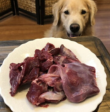 ペット 生肉 犬用 九州産鹿肉 1kg （数量限定 特別価格） 犬用鹿肉 お試しに最適【当店おすすめ】ペットフード ドッグフード おやつ 無添加