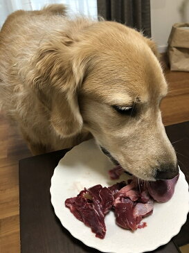 ペット 生肉 犬用 九州産鹿肉 1kg （数量限定 特別価格） 犬用鹿肉 お試しに最適【当店おすすめ】ペットフード ドッグフード おやつ 無添加