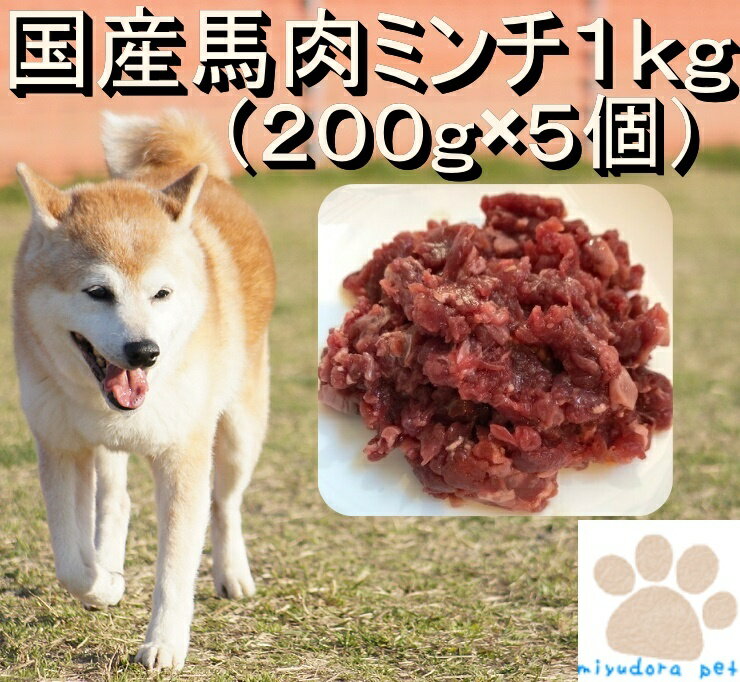 国産馬肉 ミンチ 1kg(200g×5個) ペット