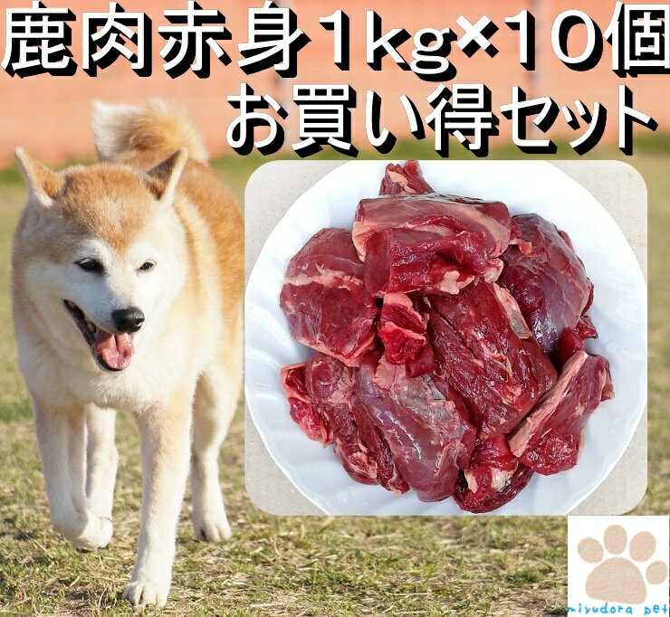 【K9Natural(ケーナインナチュラル）】フリーズドライラム3.6kg（100％ナチュラル生食ドッグフード【送料無料】