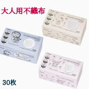 【即日発送】成人女性向け【ドラえもん】【ハローキティ】(プリーツは下向きです)(30枚の価格です)不織布プリーツマスク 大人用 箱入 (30枚入) サンリオ キャラクターマスク ドラえもん HS 成人式マスク キャラクター 送料無料 スケーター