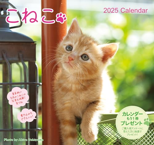 2025 ͤɳݤǭ ([])