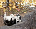 カレンダー2025 そとねこ(月めくり/壁掛け) (インプレスカレンダー2025)