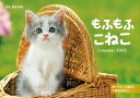 カレンダー2025 もふもふこねこ(月めくり/壁掛け) (インプレスカレンダー2025)