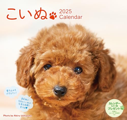 2025 ̥ɳݤ˸ ([])