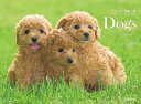 カレンダー2025 Dogs(月めくり/壁掛け) (ヤマケイカレンダー2025)