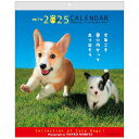 アクティブコーポレーション 2025年 カレンダー 壁掛け 森田米雄 メッセージカレンダー DOG 25ACL-09 2025年 1月始まり