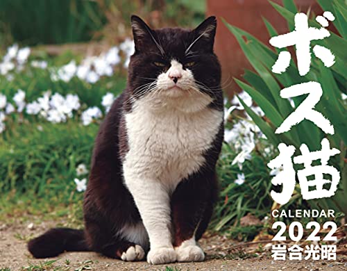 ボス猫カレンダー2022【特別付録 A1サイズポスターカレンダー付】 ([カレンダー])