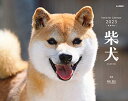 ◆商品名：カレンダー2023 柴犬 (月めくり/壁掛け) (ヤマケイカレンダー2023)