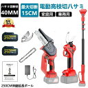 高枝切り電動チェーンソー 高枝切りバサミ 電動 4 in 1 たかえだ 電動 チェーンソー 充電式 電動剪定ハサミ 切断径40mm 高枝 チェーンソー 切断径150mm 枝切り 電動 高枝切り鋏 伸縮式延長ポール付き 最長250CM 木工切断 高枝伐採 庭木の剪定 大容量バッテリー付き PSE認証