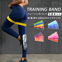 エクササイズバンド トレーニングチューブ ゴムバンド ストレッチ 自宅 筋トレ チューブ ループバンド 美尻 ヨガ バンド エクササイズ ストレッチ 5色 バン...