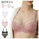 【送料無料】ブラジャー ショーツセット ノンパテッド シースルー レースブラ おうちブラ ブラ&ショーツ 脇高ブラ 寄せ レディース 脇高 大きいサイズ SEXY 快適な レース ブラ 薄型