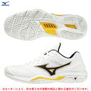 MIZUNO（ミズノ）ウエーブステルス V WAVE STEALTH V（X1GA1800）（ハンドボールシューズ/トレーニング/練習/屋内用/インドア/靴/2E相当/男女兼用/ユニセックス）