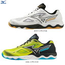 MIZUNO(ミズノ)ウエーブメダル 7 WAVE MEDAL 7(81GA2315)(スポーツ/卓球/卓球シューズ/靴/2E相当/男女兼用/ユニセックス)