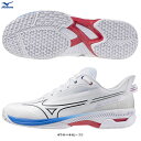 MIZUNO(ミズノ)ウエーブエクシード5 OC WAVE EXEED 5 OC(61GB2312)(テニス/テニスシューズ/オムニ・クレーコート用/砂入り人工...