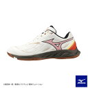 MIZUNO(ミズノ)限定 ONE PIECE ウエーブファング 2 WAVE FANG 2(71GA2413)(ワンピース/バドミントンシューズ/スポーツ/靴...