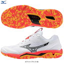 MIZUNO(ミズノ)ウエーブステルス 6 WAVE STEALTH 6(X1GA2430)(ハンドボールシューズ/スポーツ/トレーニング/練習/靴/2E相当/男女兼用/ユニセックス)