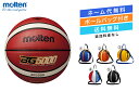 ★\ネーム代無料・ボールバック付き・送料無料/バスケットボール5号球1個入れボールバックセット検定球 人工皮革【B5G5000-NB10】