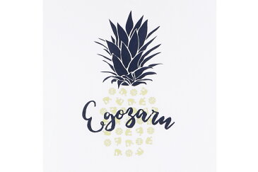 [3色展開]エゴザル EGOZARUバスケ tシャツPINEAPPLE Tシャツ【EZST-1907】