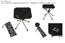 チェア&ケースエゴザル【EZAL25UFB002-C】【返品・交換不可】