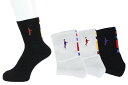 ◆40%OFF◆限定カラーパネルソックスインザペイント 【ITP860MS】【返品・交換不可】