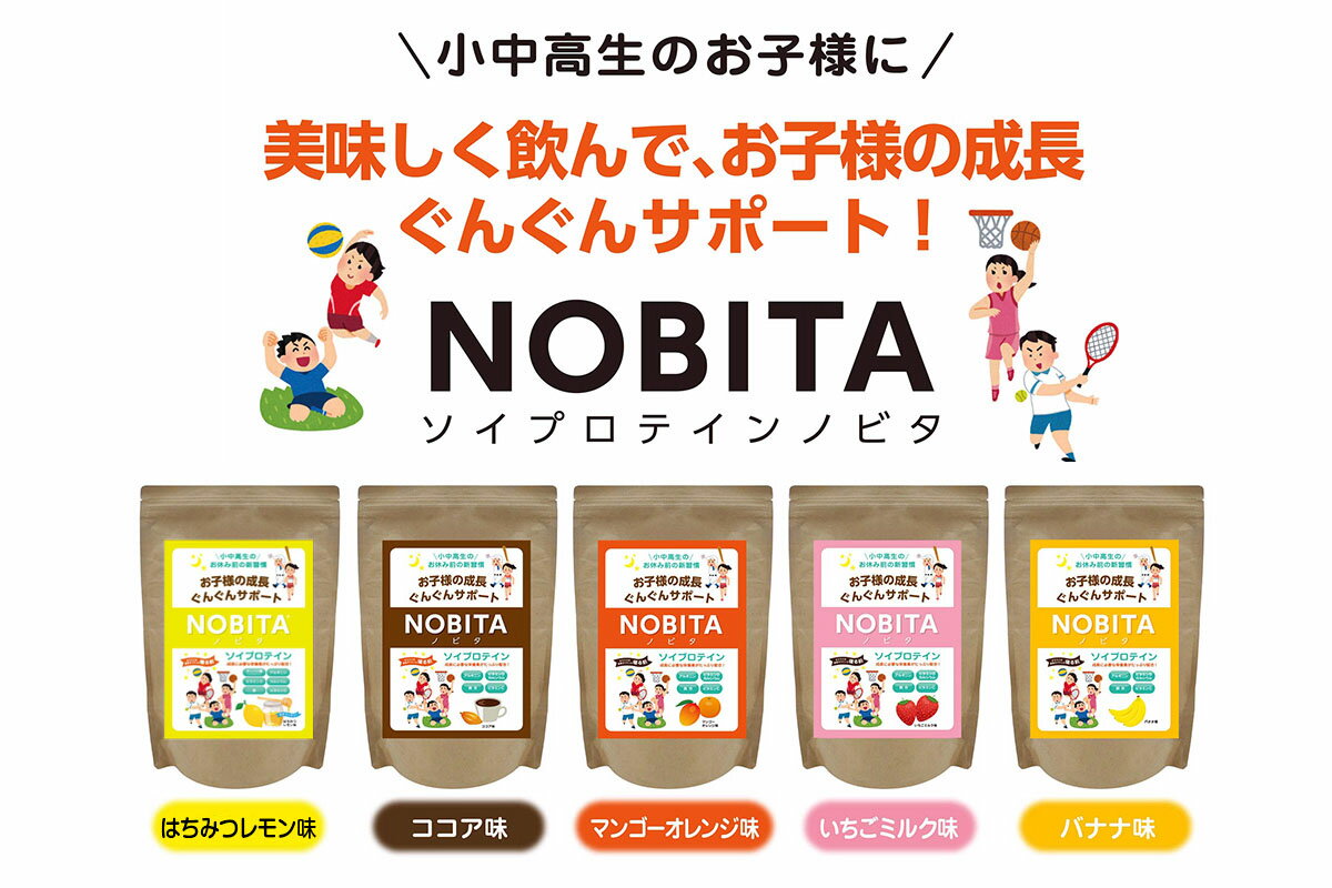 スパッツィオ spazioノビタ NOBITAソイ