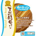 デイプラス 天然酵母パン 塩バター 12個入×1箱