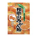 和歌山みかん飴　100g×40袋　和歌山有田の伊藤農園みかん果汁使用　みかんピール入り