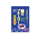 【卸価格】瞳はブルーベリー 80g　川口製菓 【特...