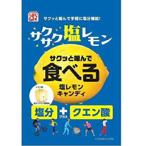 食べる塩レモンキャンディ 80g×10袋 松屋製菓 塩レモン 塩分＋クエン酸　熱中症対策に