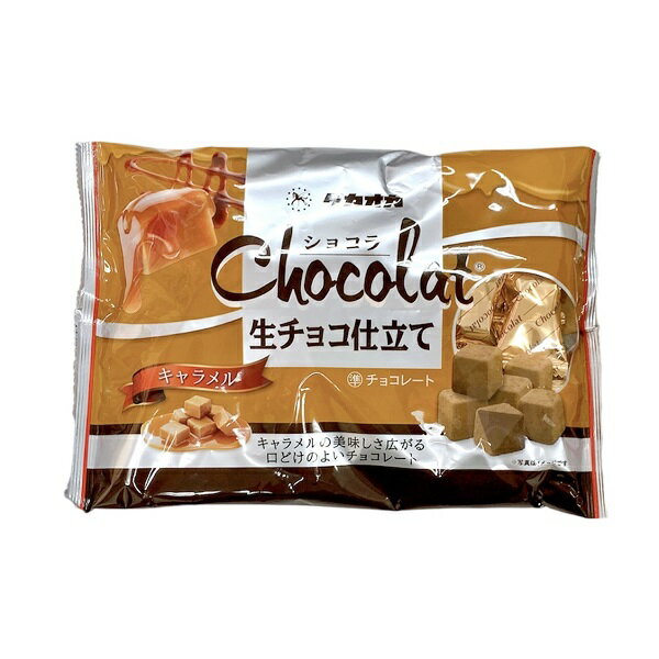 【チョコレート 卸価格】高岡食品工業 ショコラ 生チョコ仕立て キャラメル ファミリーパック【タカオカ】【夏季クール便配送（別途220円～】