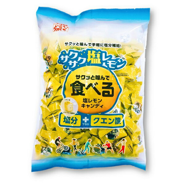 【徳用】700g 食べる塩レモンキャンディ松屋製菓