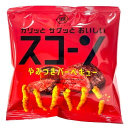 湖池屋 スコーン やみつきバーベキュー 22g 小袋サイズ 24個入り6BOX 144袋 卸価格