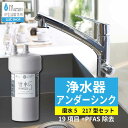 浄水器 磨水5 217型兼用水栓セット 水生活製作所 【公式】アンダーシンク まみず PFAS除去 NSF認証 ビルトイン 19+2項目除去 J217P-B217M 浄水器兼用 シングルレバー混合水栓 日本製 2年交換 MIZSEI 長寿命 キッチン 蛇口 PFOS PFOA 台所 リフォーム 交換 活性炭 ミズセイ