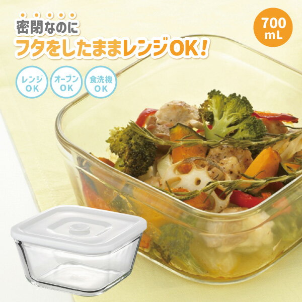 イワキ iwaki 密閉パック＆レンジ 700ml 電子レンジ可 オーブン可 食洗器可 耐熱ガラス