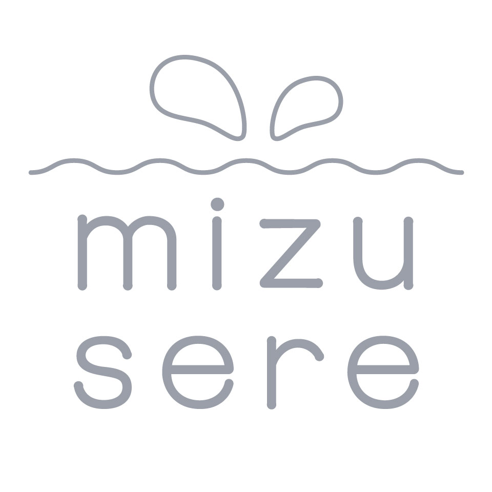 Shop icon