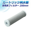 サンエイ化学 活性炭フィルター SAC-250 250mm 粒状・ヤシ殻品