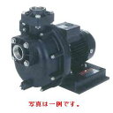 三相電機 自吸式ポンプ 0.2kW-0.75kW 25PSPZ-2033A | 揚水ポンプ 給水ポンプ 汲み上げ 自給式 自吸 自給 加圧ポンプ 給湯器 エコキュート ソーラー ソーラーシステム チラー 熱交換器 電気温水器 給湯 自吸式 温水循環ポンプ 温水ポンプ 給湯加圧ポンプ 給湯加圧器