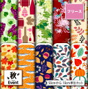 フリース 生地 布 秋柄 毛玉防止 アンチピリング加工 商用利用可 ハンドメイド 手作り 手芸 犬服 ひざ掛け ポンチョ スヌード マフラー ジャケット アウター コート (fall_2)(3)