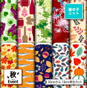 鹿の子 ニット生地 布 秋柄 UVカット 吸水速乾 商用利用可 ハンドメイド 手作り 手芸 犬服 レオタード ラッシュガード スポーツウェア ユニフォーム (f...