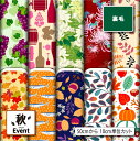 裏毛スウェットニット生地 布 秋柄 横ストレッチ 吸水性 商用利用可 ハンドメイド 手作り 手芸 トレーナー パーカー パンツ スポーツウェア 運動着 部屋着 (fall_2)