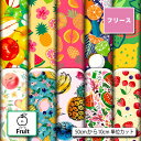フリース 生地 布 フルーツ柄 毛玉防止 アンチピリング加工 商用利用可 ハンドメイド 手作り 手芸 犬服 ひざ掛け ポンチョ スヌード マフラー ジャケット ...