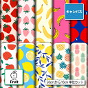 ポリエステル キャンバス 生地 帆布 フルーツ柄 強度が高い 商用利用可 ハンドメイド 手作り 手芸 通園 トートバッグ 給食ナフキン ランチマット かばん エプロン カーテン (fruit_4)