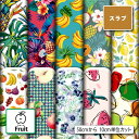 スラブ生地 布 フルーツ柄 ナチュラルな風合い 速乾 商用利用可 ハンドメイド 手作り 手芸 ティッシュケース クッションカバー テーブルクロス (fruit_1)