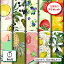 アウトレット生地 布 フルーツ柄 2wayストレッチ ニット 商用利用可 ハンドメイド 手作り 手芸 (fruit_2)
