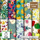 ストレッチニット生地 布 C1000 フルーツ柄 軽量 UPF50+ 防透性 吸水速乾 耐塩素 商用利用可 ハンドメイド 手作り 手芸 犬服 水着 レオタード ラッシュガード スポーツウェア コスプレ (fruit_1)